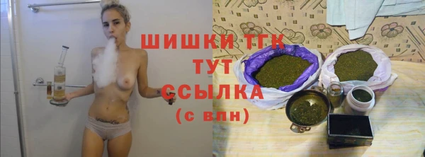 хмурый Новозыбков