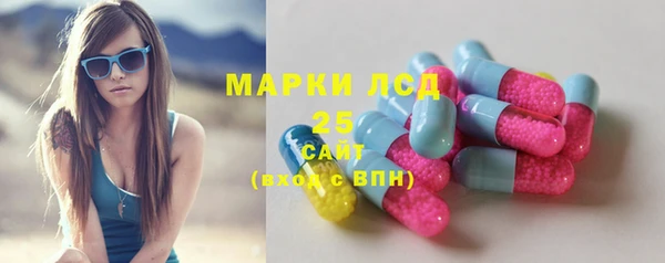 хмурый Новозыбков