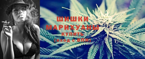 тгк Нея