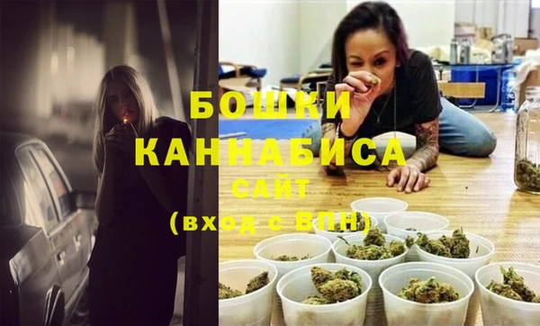 тгк Нея