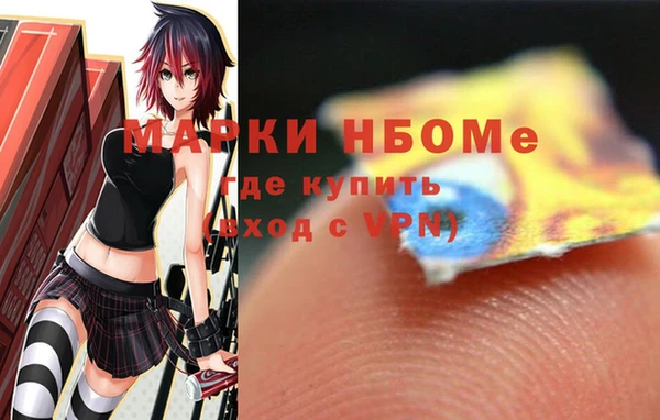 хмурый Новозыбков