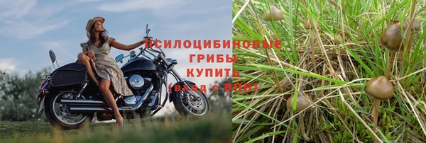 тгк Нея