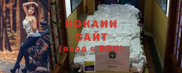 тгк Нея