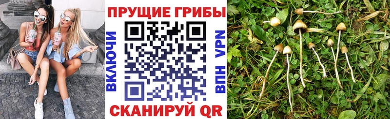 Псилоцибиновые грибы Magic Shrooms  Изобильный 
