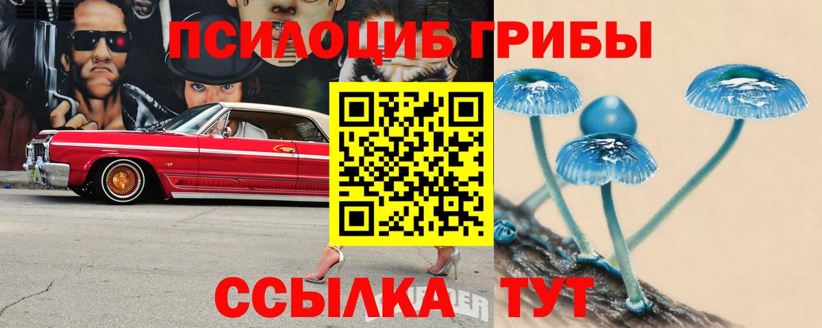 Псилоцибиновые грибы GOLDEN TEACHER Изобильный